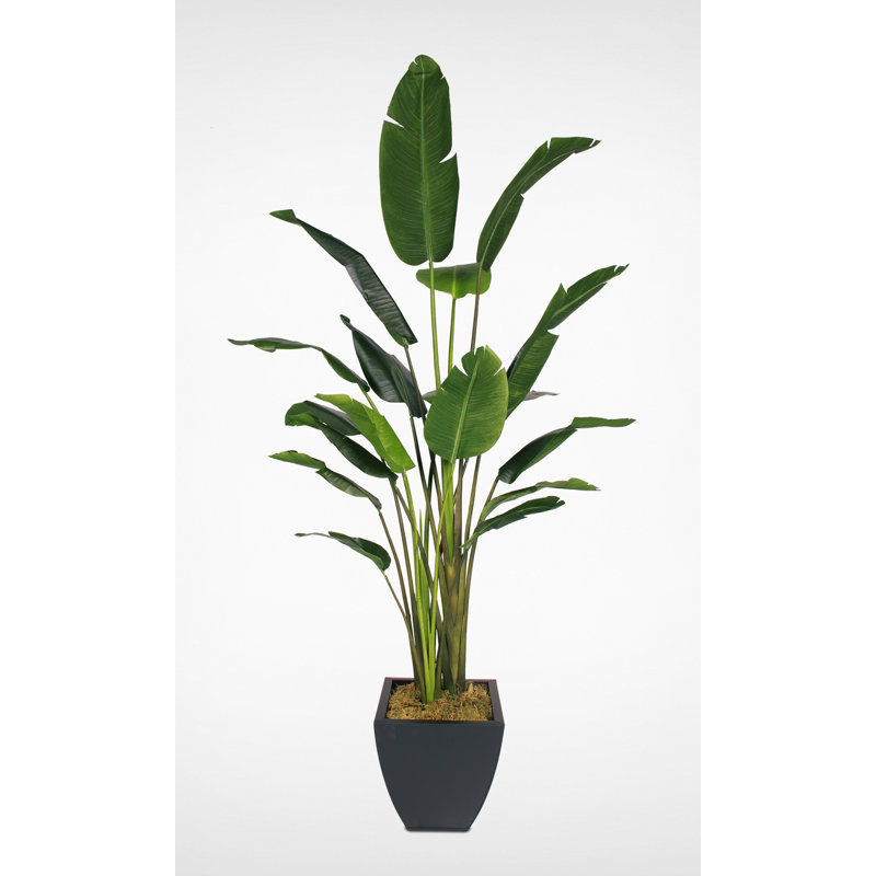 Bayou Breeze Artificial Birds of Paradise Banana Leaf Tree in Pot Wayfair